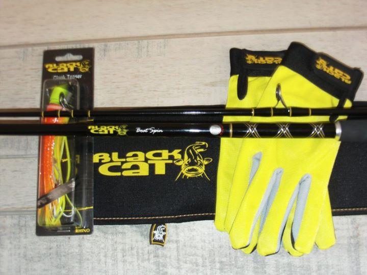 Black Cat - img16897822307844.jpeg